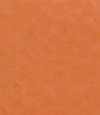 得嘉PVC運(yùn)動(dòng)地板 Orange2